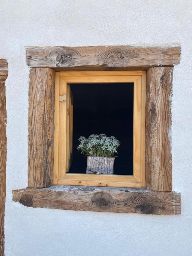 The Wooden House Apartamento Valle di Cadore Exterior foto